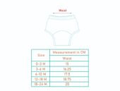 Muslin Padded Underwear Pack of 2 - Image 8